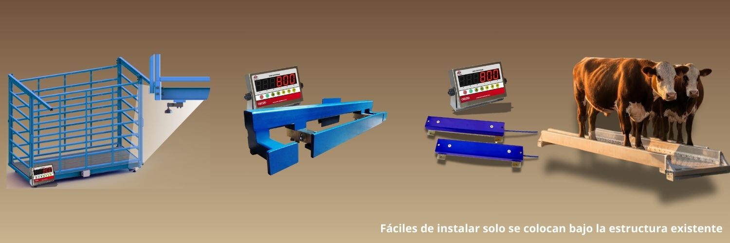 Báscula Ganadera: Guía Completa para Elegir la Mejor